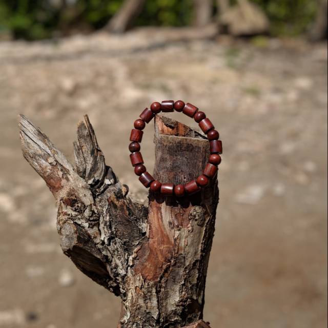 Akar nagasari petir dim 8mm.. akar solid