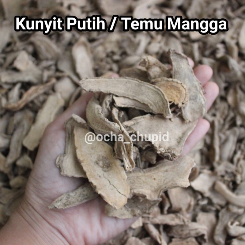 Jual Kunyit Putih Temu Mangga Kering Shopee Indonesia 5907