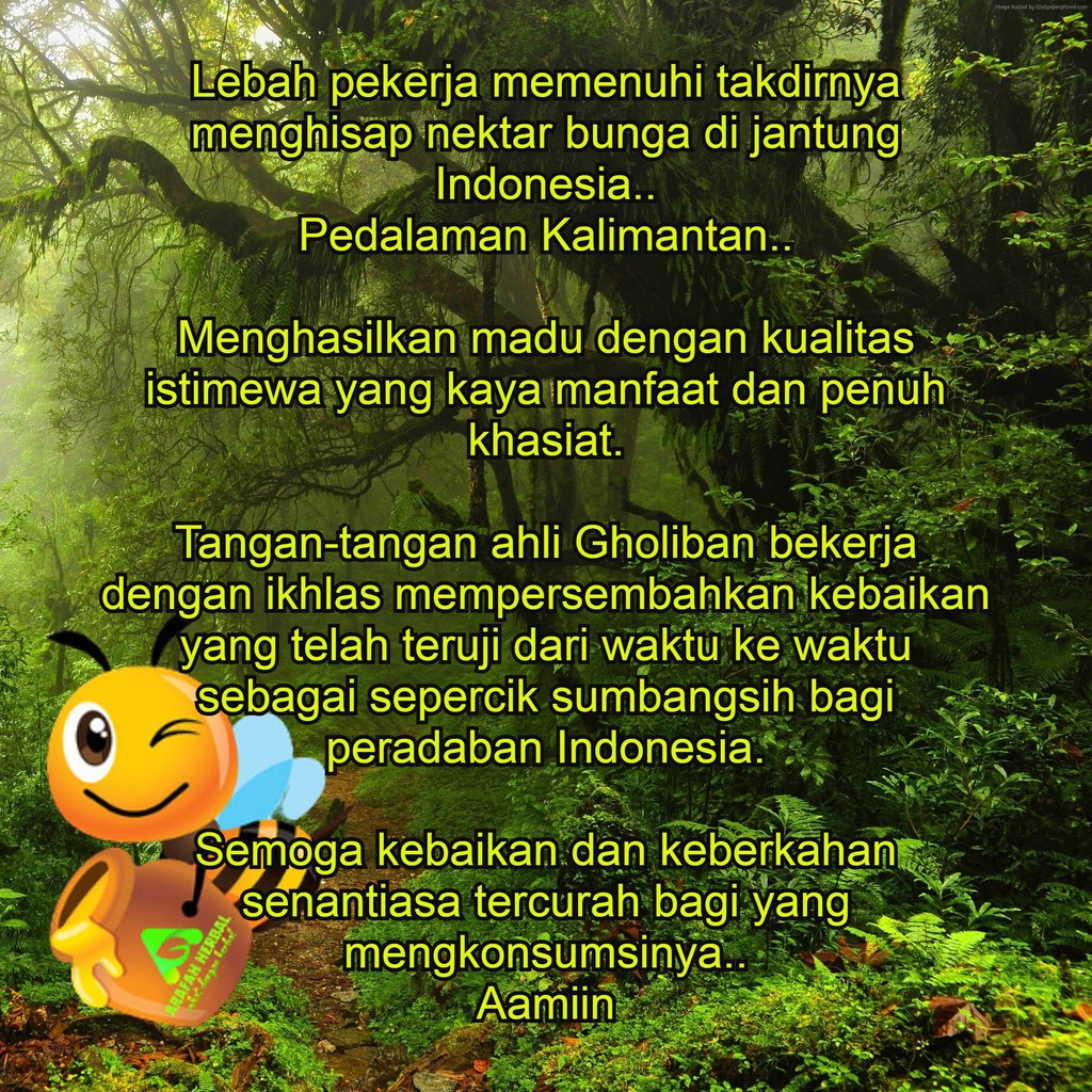 

Ay00! KEMASAN BARU MADU HUTAN KALIMANTAN GHOLIBAN 1kg