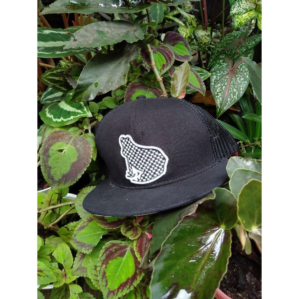 Topi Frogstone Trucker Hats