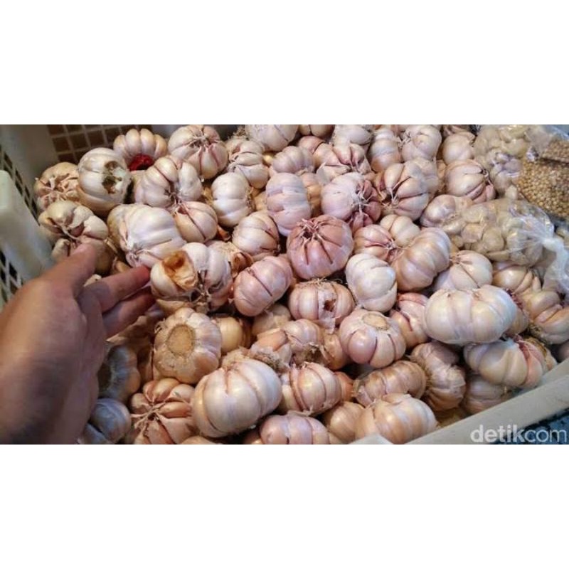 

[500gr] Termurah Bawang Putih Sinco/ Bawang Putih Kepel / Bawang ½ kg / Bawang Murah