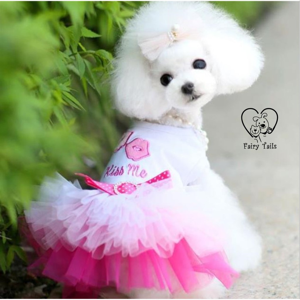 Baju Anjing Kucing Kostum Dress Princess Warna Warni dengan Rok Tutu | Pet Colorful Tutu Princess Dress