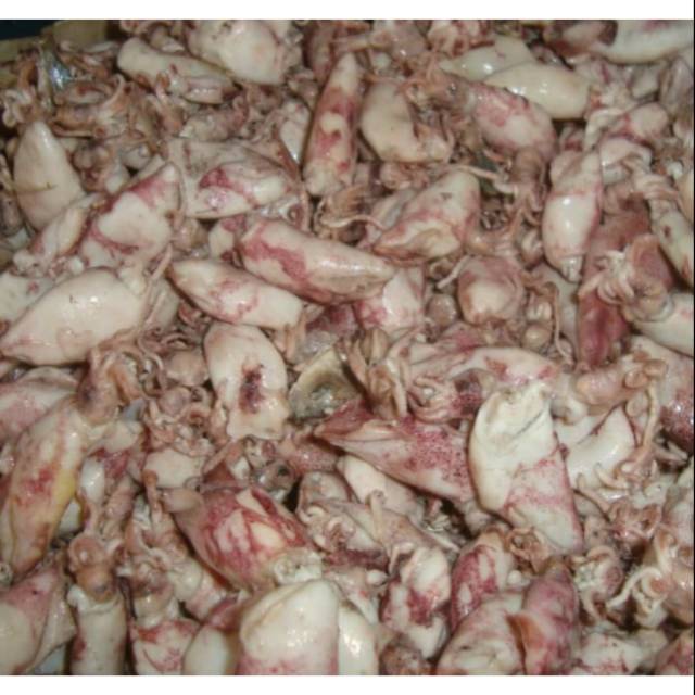 

Cumi asin Baby atau Sotong khas Cirebon