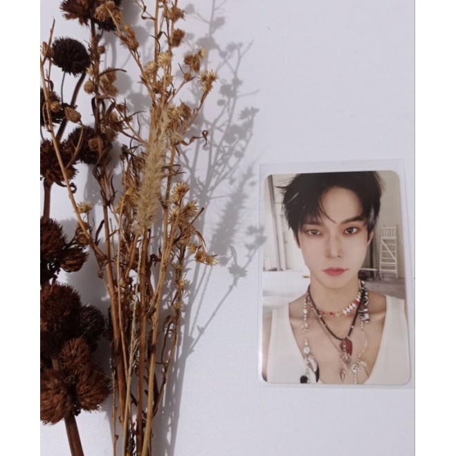 READY STOCK PHOTOCARD / PC DOYOUNG NCT 127 FAVORITE CATHARSIS VER