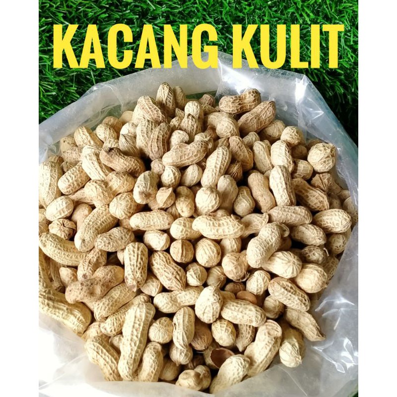 

Kacang kulit SBM SUPER, anti kopong 150 gram