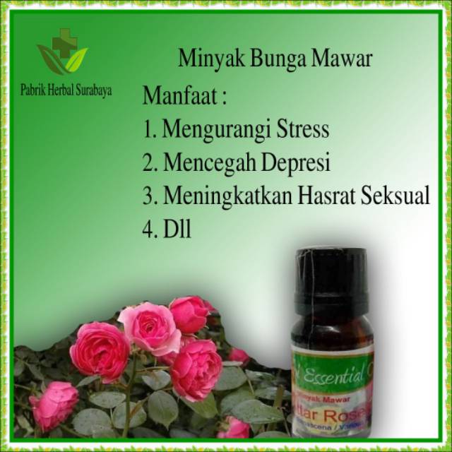 Minyak Mawar Asli Murni Rosen Oil Murni Bukan Parfum