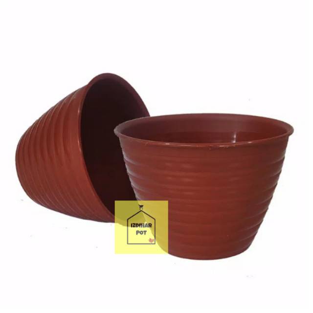 Pot bunga tanaman tawon merah bata 15cm