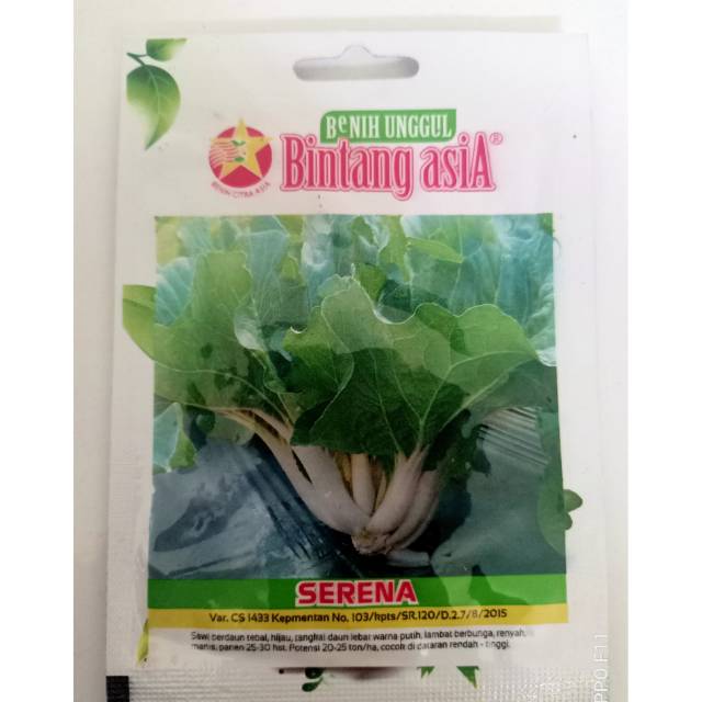 Benih / Bibit sawi putih / sawi berbatang putih 1.000 Benih