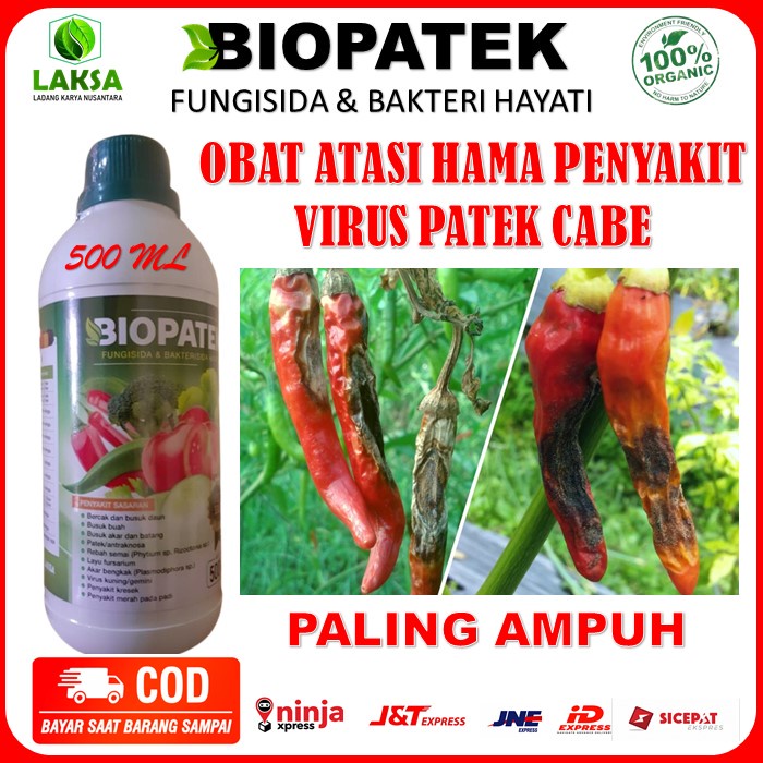 BIOPATEK Obat Semprot Cabe Hama Patek Paling Ampuh - Obat Hama Virus Patek Cabe Ampuh , Obat Hama Pe