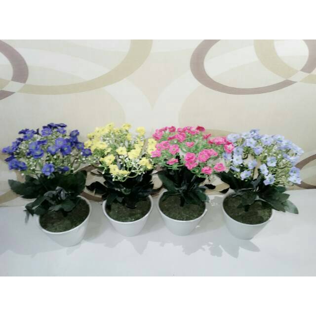 Bunga edelweiss artificial dengan vas tawon cantik, shabby chic