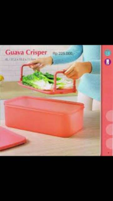 Guava crisper