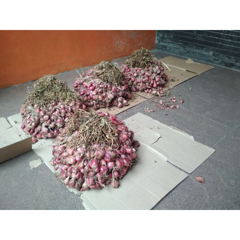 

Bawang merah