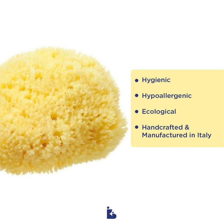 Bellini Honey Comb Bleached Sponge