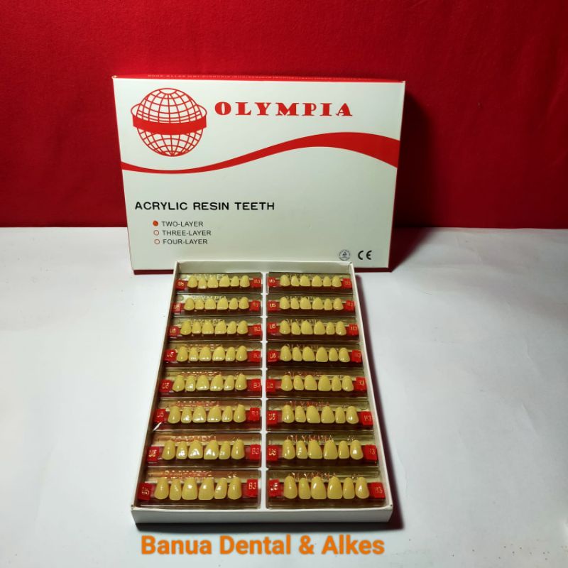 Gigi Olympia depan (anterior) adalah bahan untuk membuat gigi tiruan atau gigi palsu / gigi tiruan r