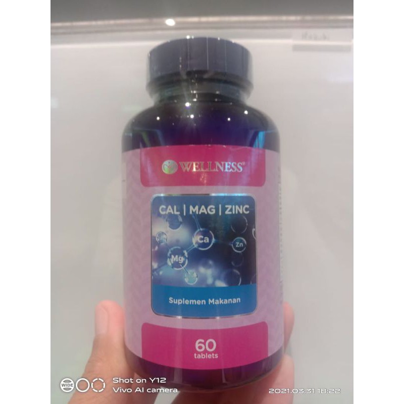 Wellness Cal/Mag/Zinc