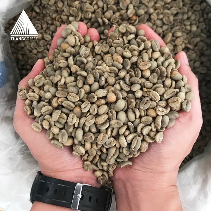

Free Ongkir Grade 1 - Green Bean - Washed Arabica - Flores Manggarai - Kartika Murah