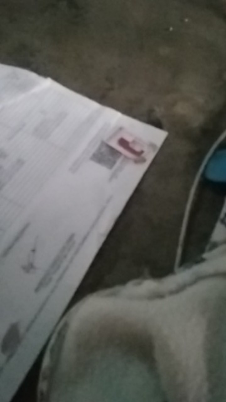 Dispenser Odol | Toothpaste Dispenser