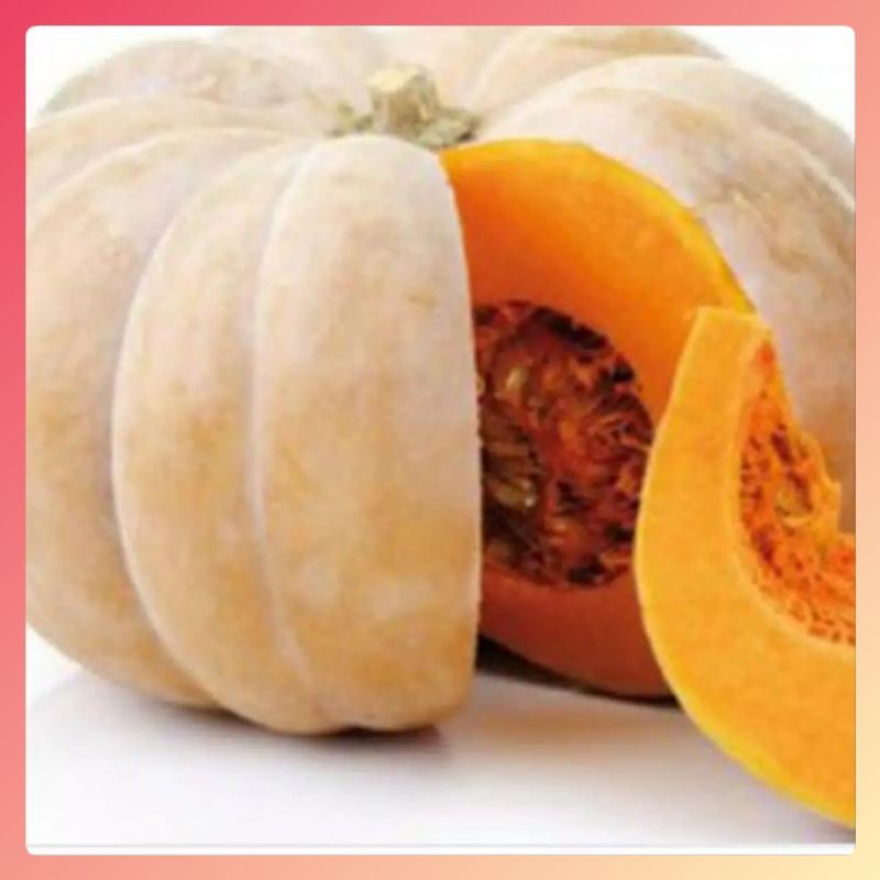 2 Benih Labu Kuning / Labu Parang