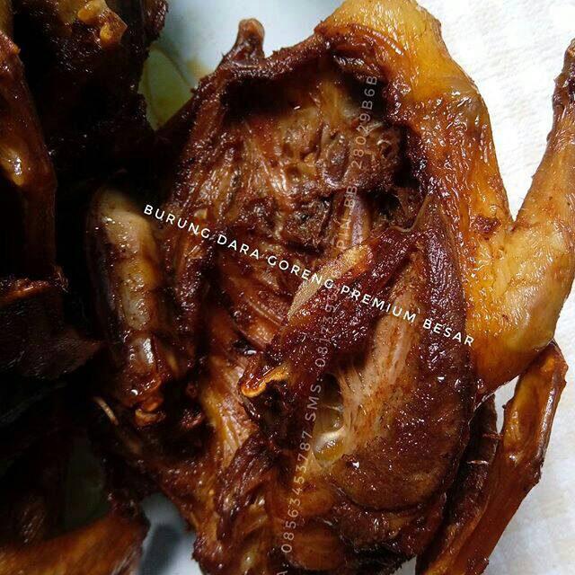 Burung Dara Goreng Premium Vacum 1pack 5ekor Super Large Shopee