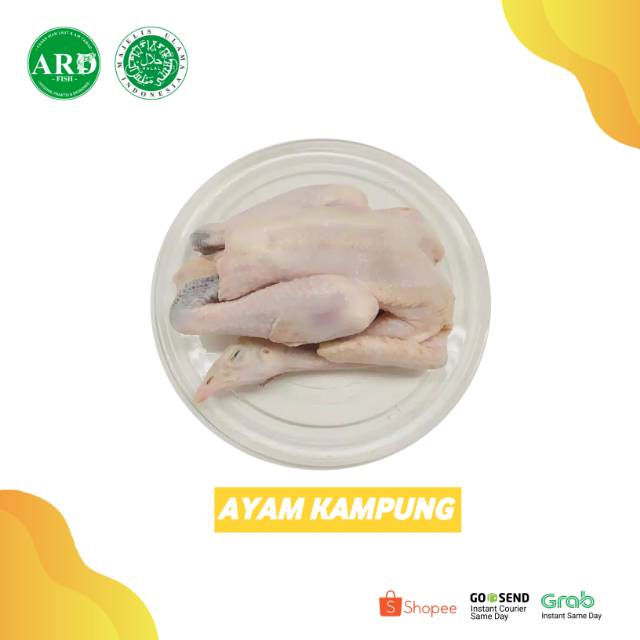 

AYAM KAMPUNG Ukuran 900gr sampai 1kg + ATI AMPELA
