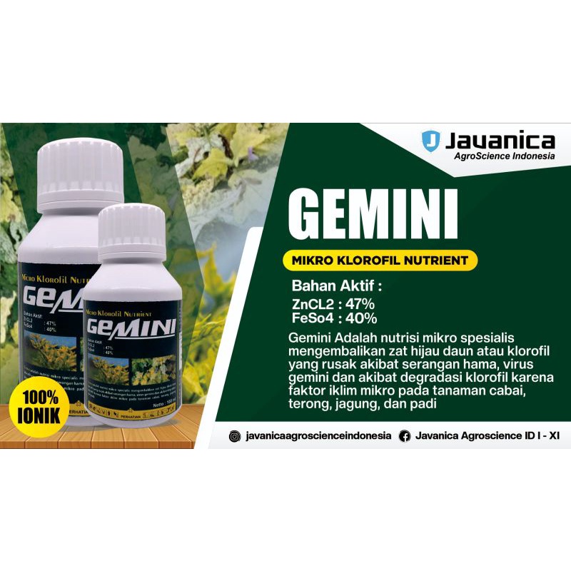 GEMINI pengendali virus pada tanaman