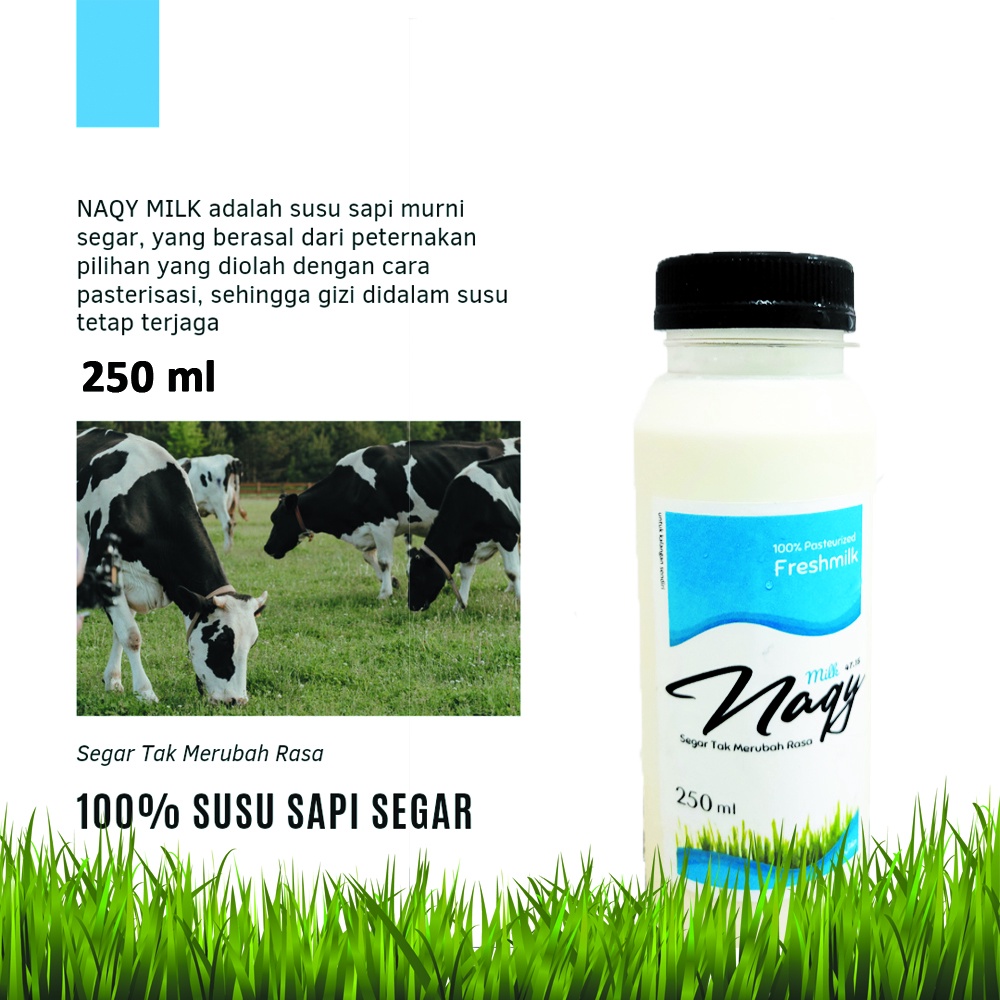 

NAQY MILK, Susu Sapi Perah Segar 250ml