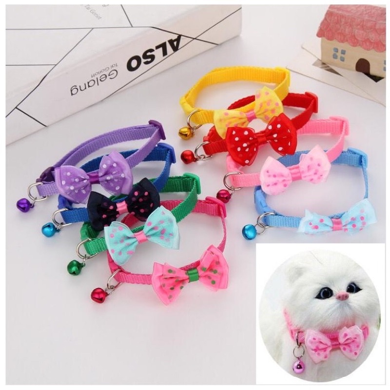 KALUNG KUCING ANJING  PITA IMPORT