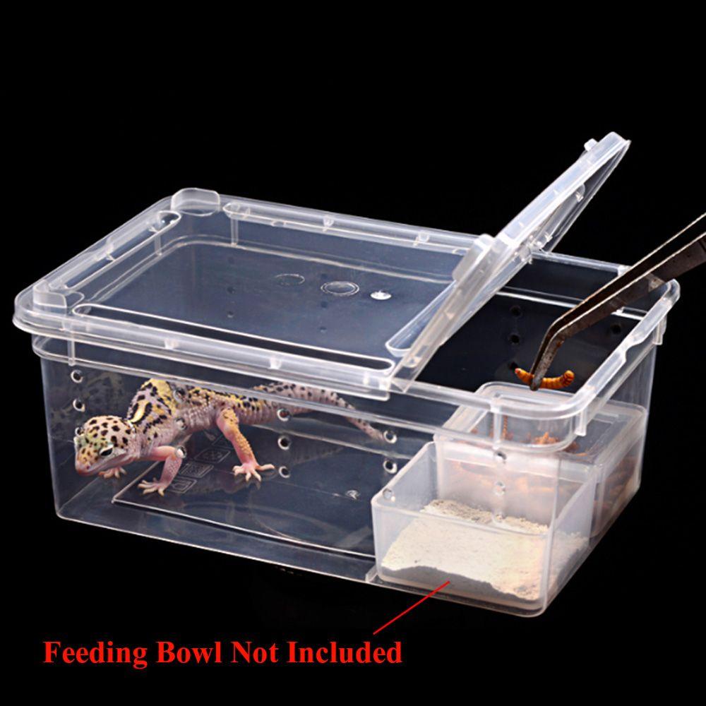 Rebuy Feeding Box Amphibia Bening Kodok Reptil Untuk Cicak Spider Tokek Tarantulas Ular Rumah Tamu