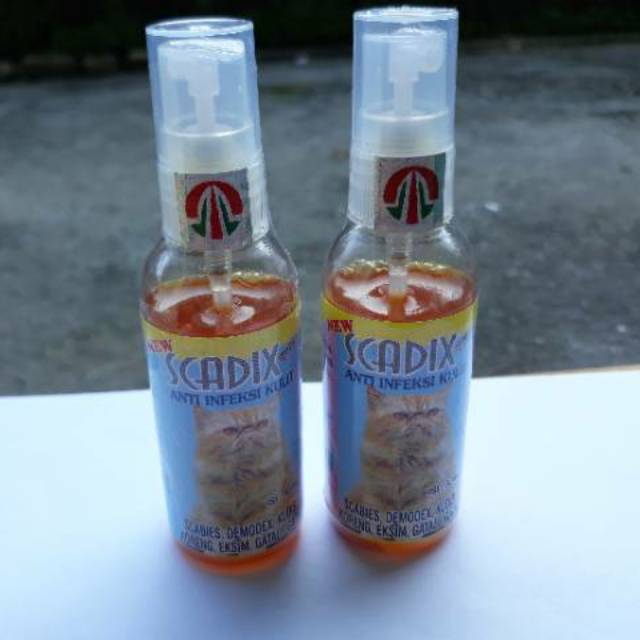 Scadix obat scabies jamur