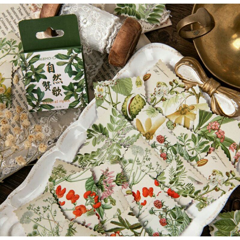 

46pcs aesthetic stiker box tanaman daun lucu utk dekorasi scrapbook/album