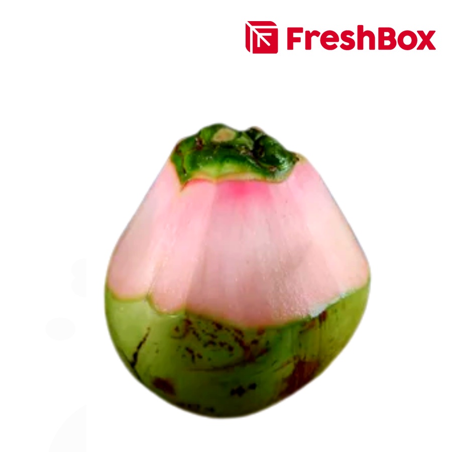 

Kelapa Hijau Kupas FreshBox