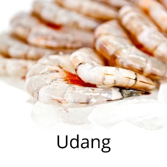

Udang
