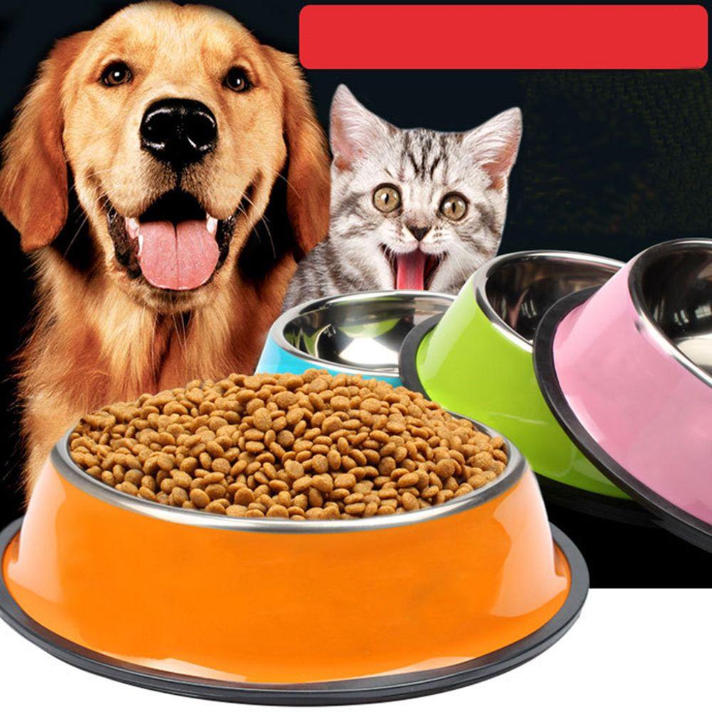 Solighter Pet Bowl Rumah Outdoor Perlengkapan Hewan Peliharaan Perjalanan Makan Anjing Kucing