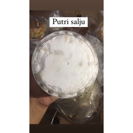 

PUTRI SALJU