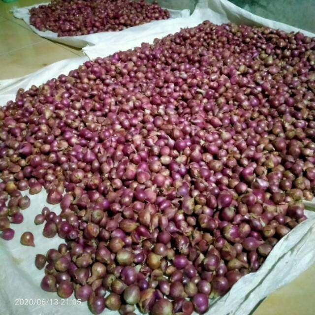 

Bawang merah lokal 1kg