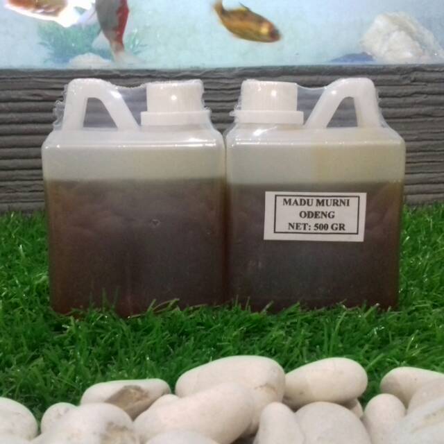 

MADU ODENG MURNI - 500 gram