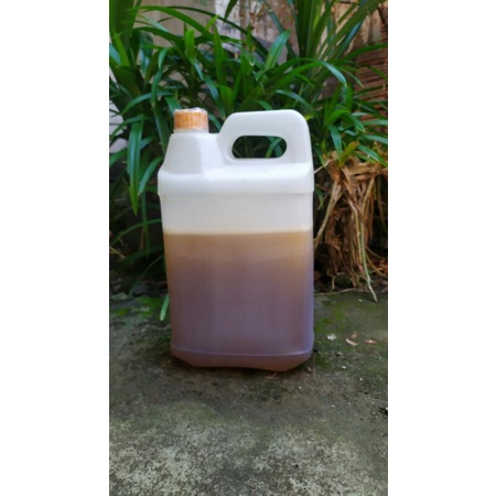 

Madu Asli Murni 100% Madu Gunung Jenis Super Multi Alam Kemasan 5 kg Lebih Hemat. Sedia Madu Akasia, Kelengkeng, Rambutan, Kopi Kemasan 5 kg