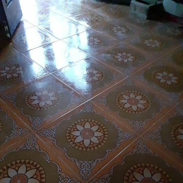 Folding Hanger 30 Stik | Lionstar