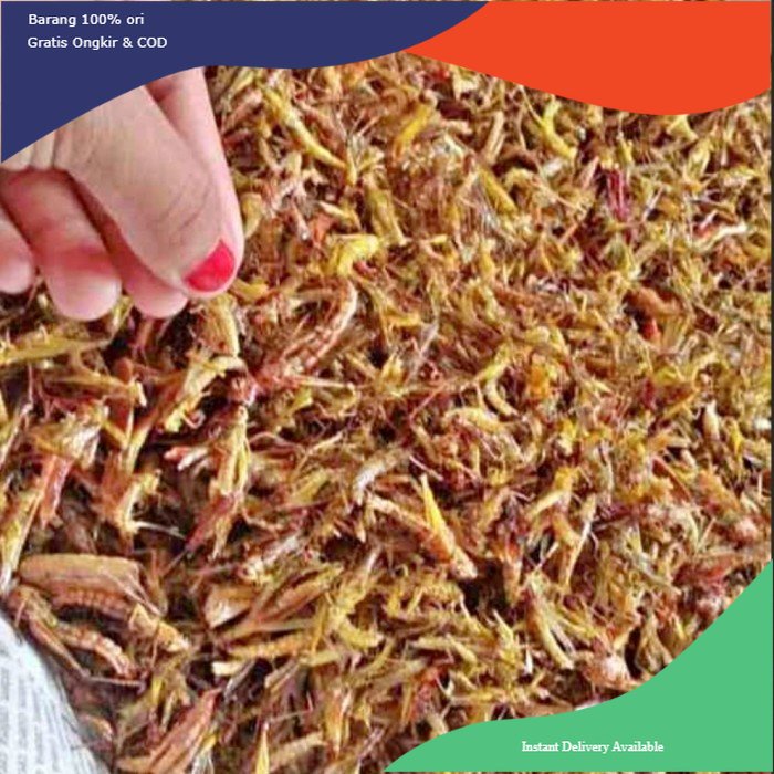 

belalang goreng 250gram (belalang utes/padi) - gurih pedas, 250gram