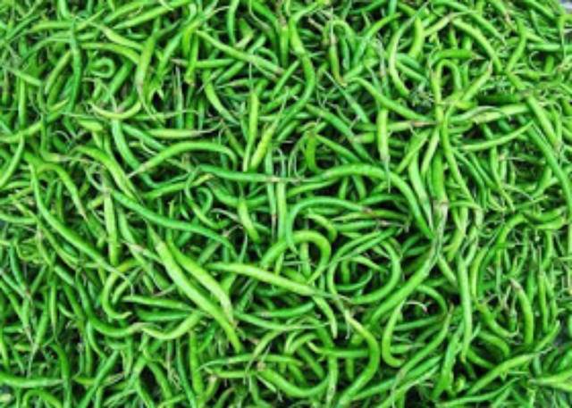 Grosir 100 gram Cabe Hijau Keriting Ijo Segar Murah