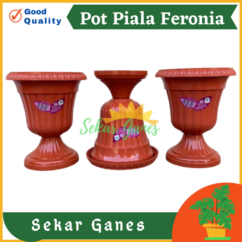 Pot Piala Green Leaf Feronia 6152 Merah Bata Terracota Merah Coklat Pot Piala Tinggi Putih Plastik hitam pendek 50 - Pot bunga tanaman piala feronia putih 18cm - PIALA MINI 6152