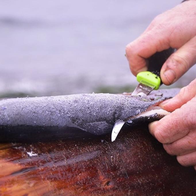 Promo Morakniv- Fishing Comforfillet 155 - Pisau Fillet Made In Sweden ada