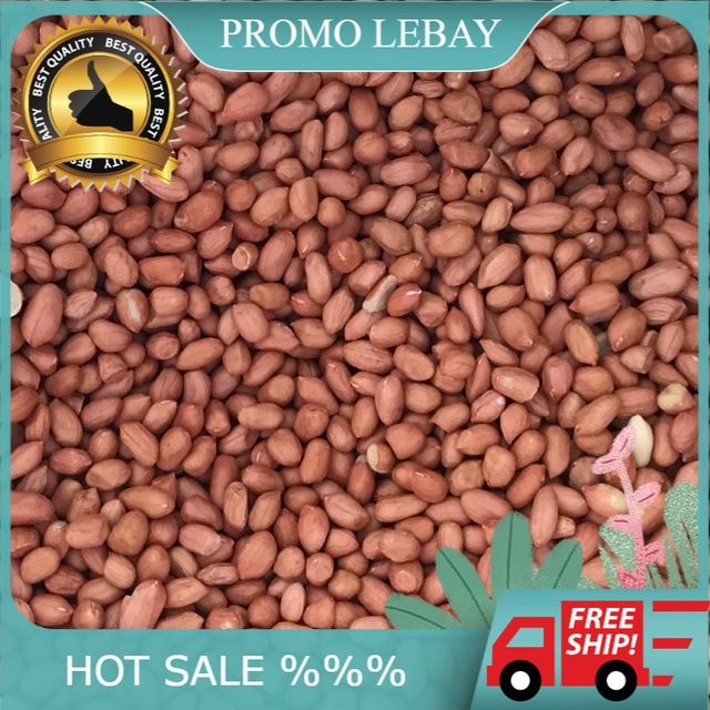 

KACANG TANAH ASLI PREMIUM - GURIH DELIGHT