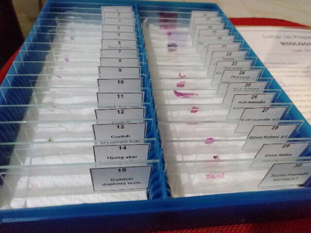 Preparat Biologi isi 30bh preparet/preparat berisi 30macam nama