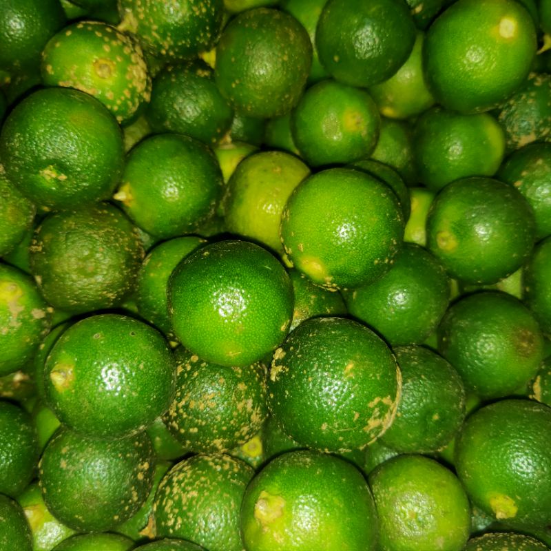

JERUK KUNCI 250 g / 1kg