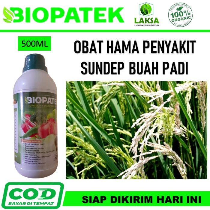 PROMO Biopatek Obat Sundep Padi Paling Ampuh - Biopatek Obat Semprot Penyakit Sundep / Hapa Buah Pad