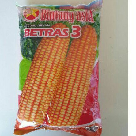 isi 1kg Benih Bibit Jagung Hibrida BETRAS 3 bersertifikat || Biji Jagung || JAGUNG BETRAS 3