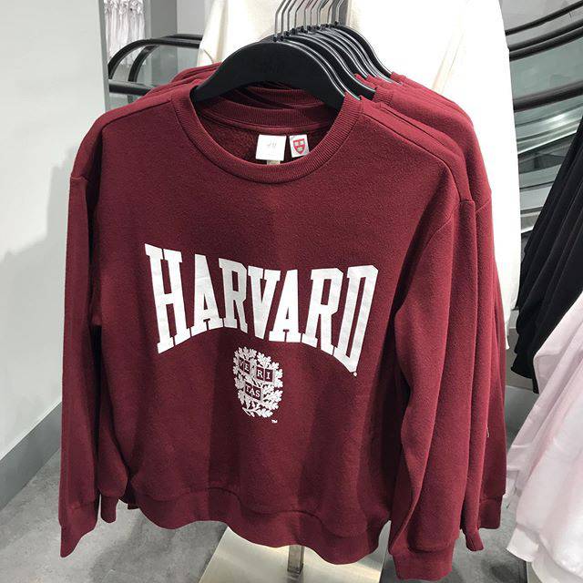 harvard sweater h&m