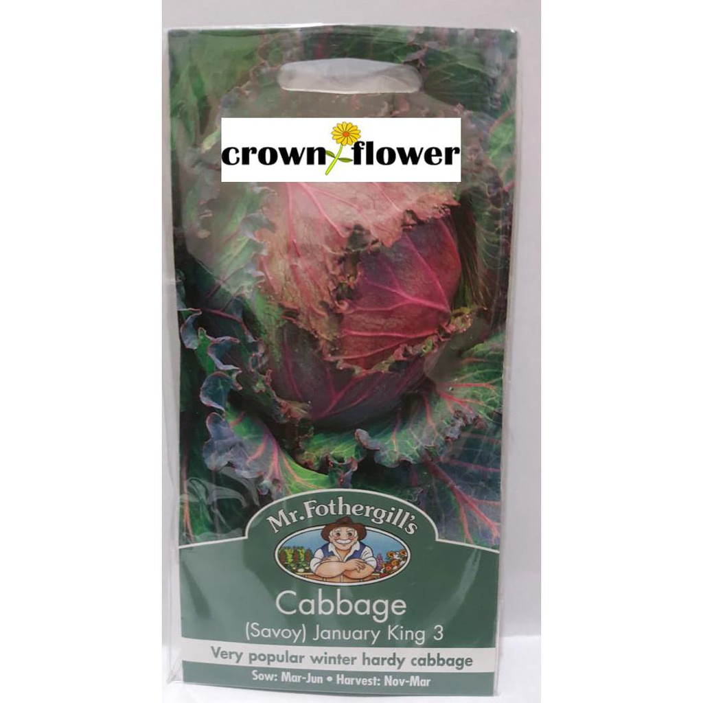 

Ini 1 Pack 500 Benih Sayuran Cabbage (Savoy) January King 3 Mr.Fothergill' Berkualitas