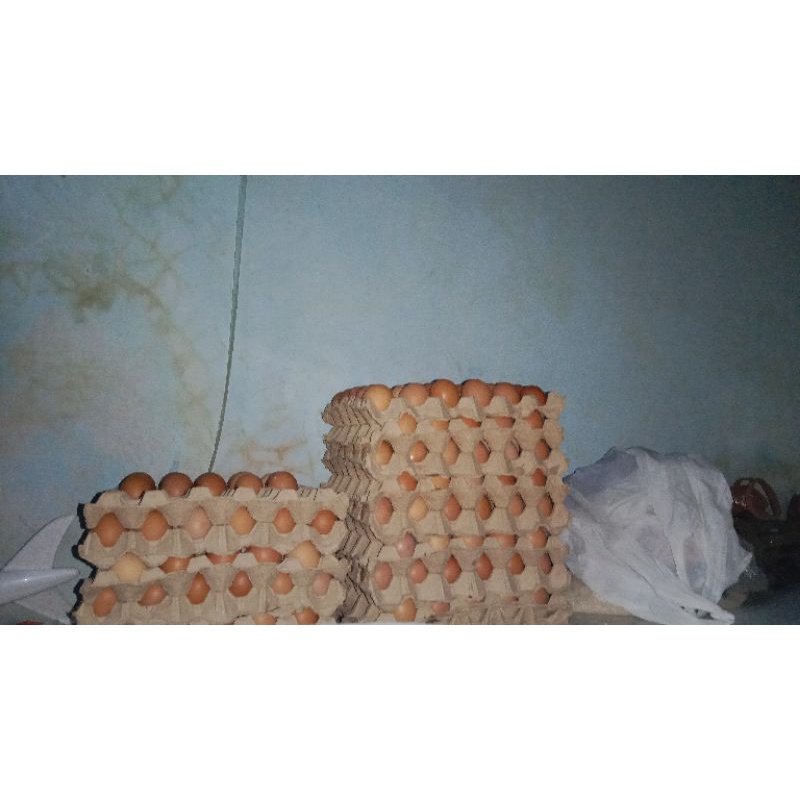 

Telur ayam negri